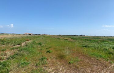 Terreno e Depositi – Rif. V02541