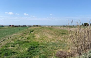 Terreno e Depositi – Rif. V02541