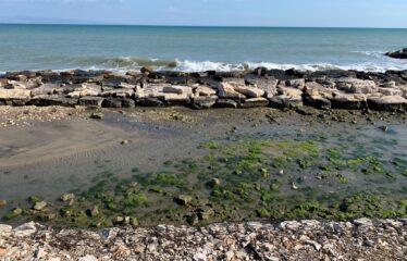 Terreno e Depositi – Rif. V02541