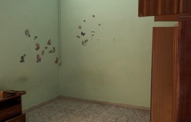 Soluzione Indipendente – VI0488