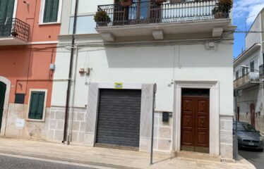Locale commerciale – VL0710