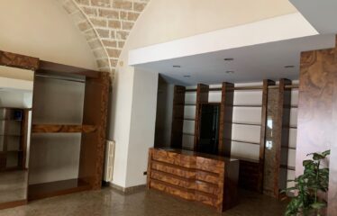 Locale commerciale – VL0710