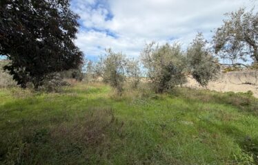 TERRENO EDIFICABILE – TEV0777